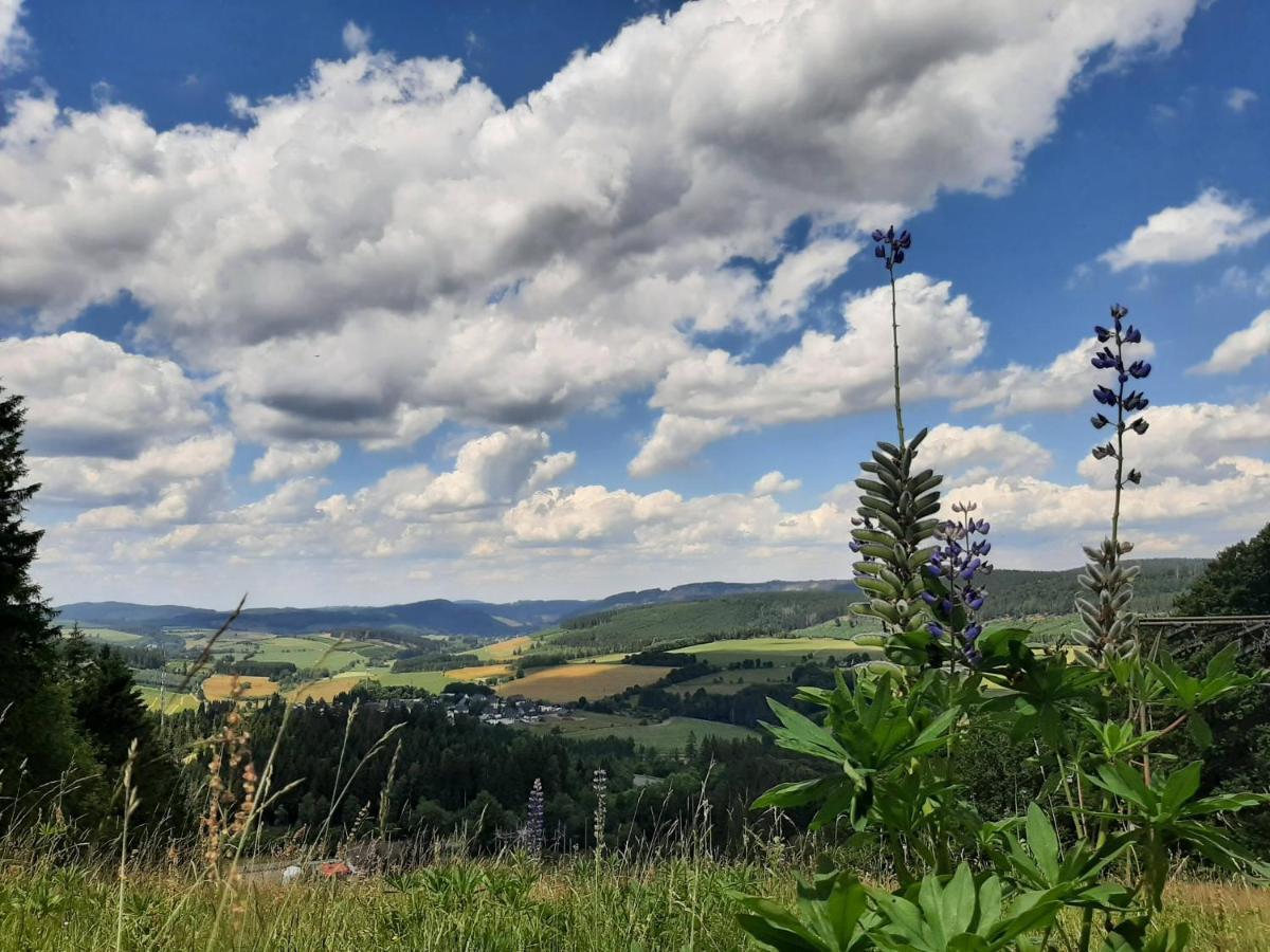 Great Apartment Winterberg Woods Medebach Bagian luar foto
